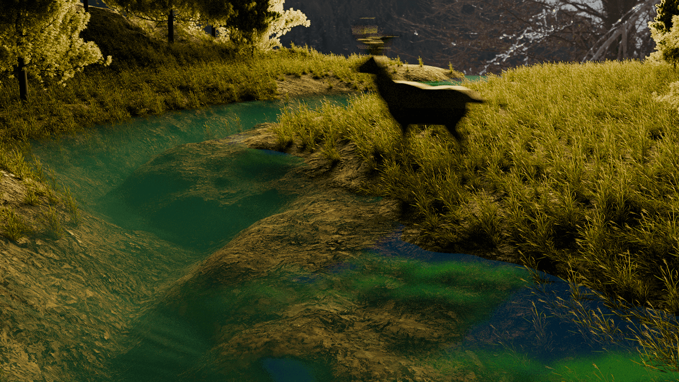Environmental Study — image 3