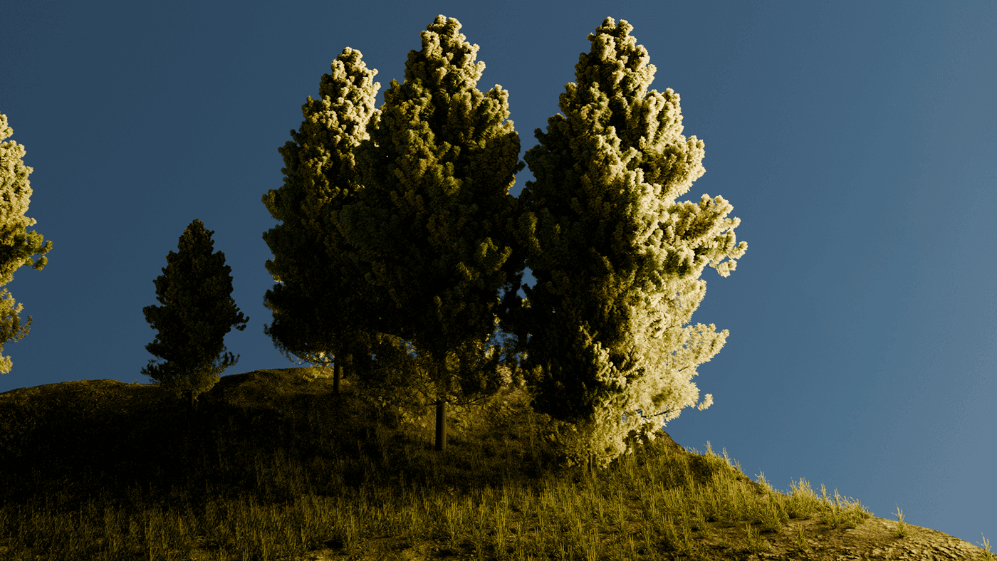 Environmental Study — image 5
