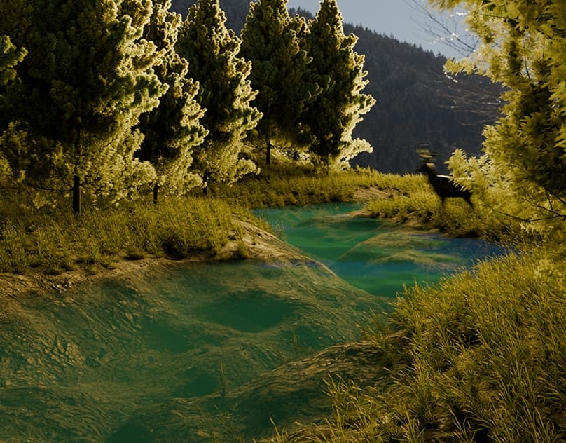 Environmental Study