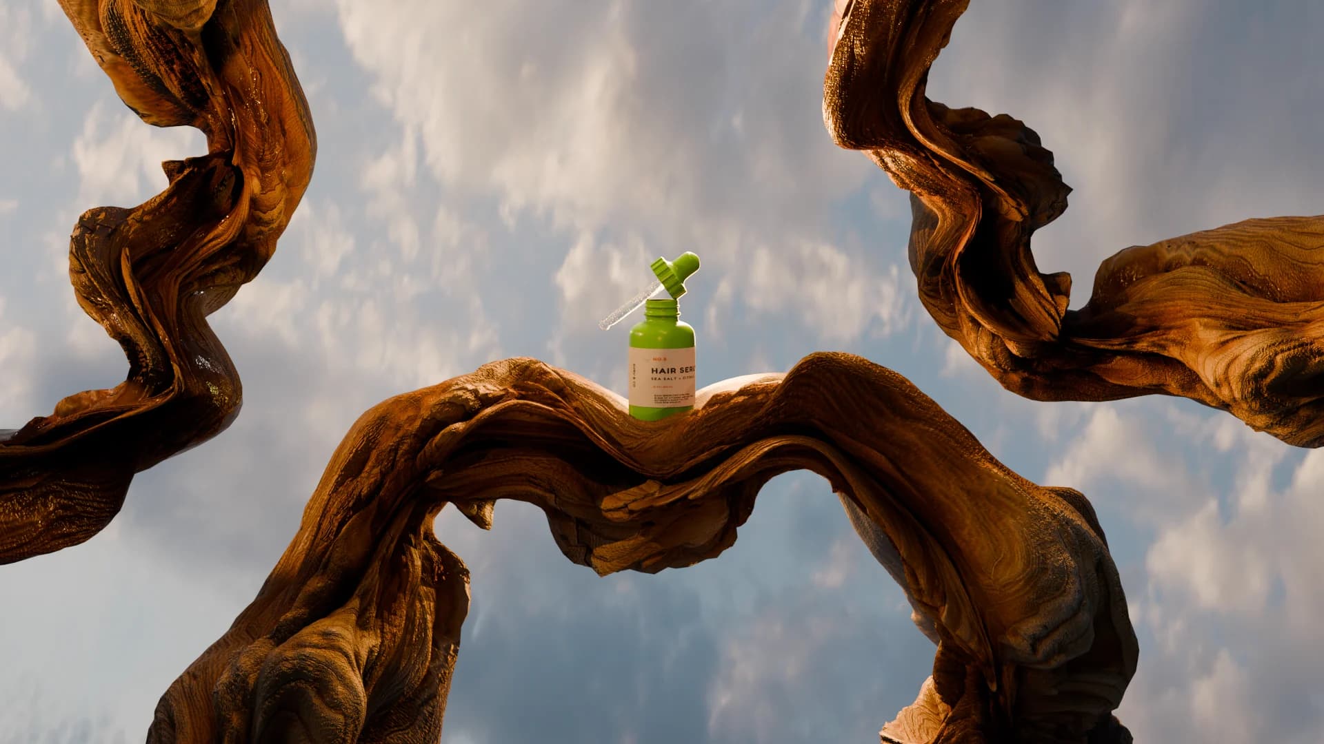 The bottle balanced on a branch, seen wide against cloud