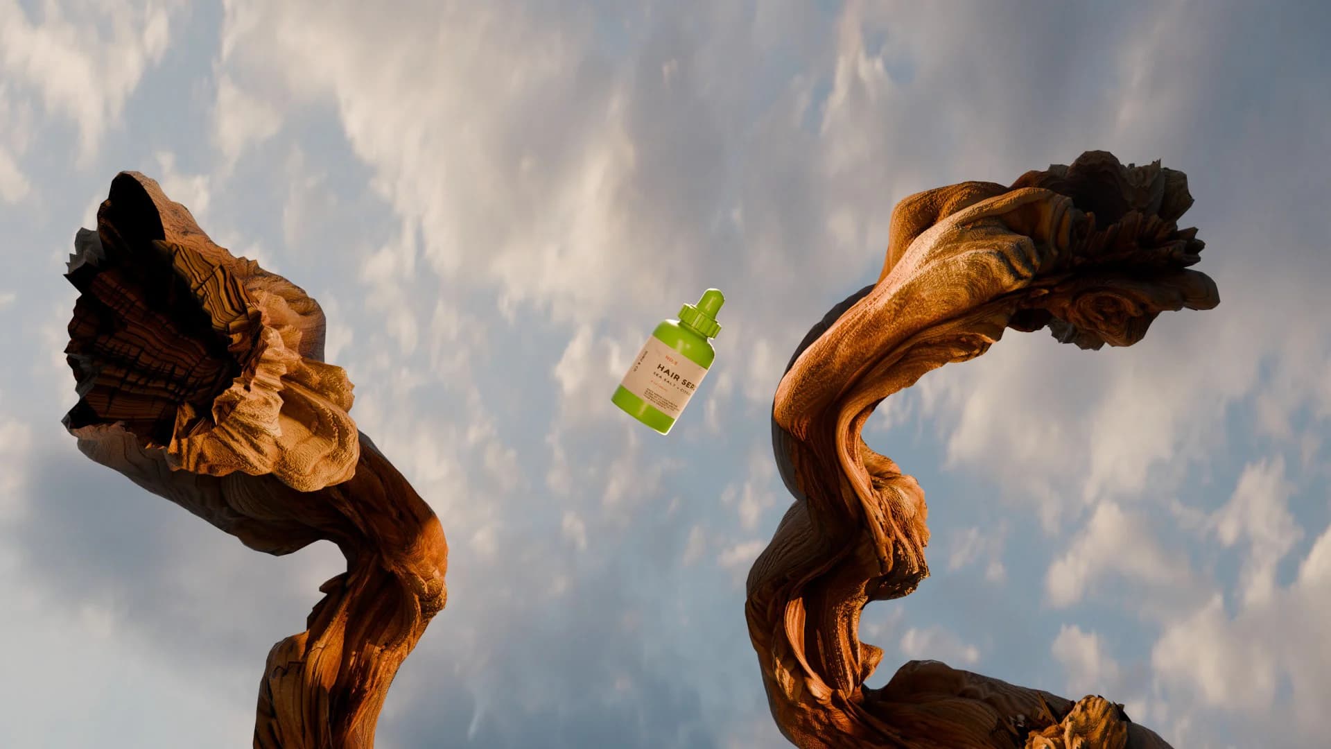 The bottle small against sky and a sweeping driftwood branch