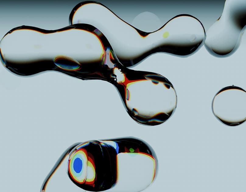 SDF Cell Division