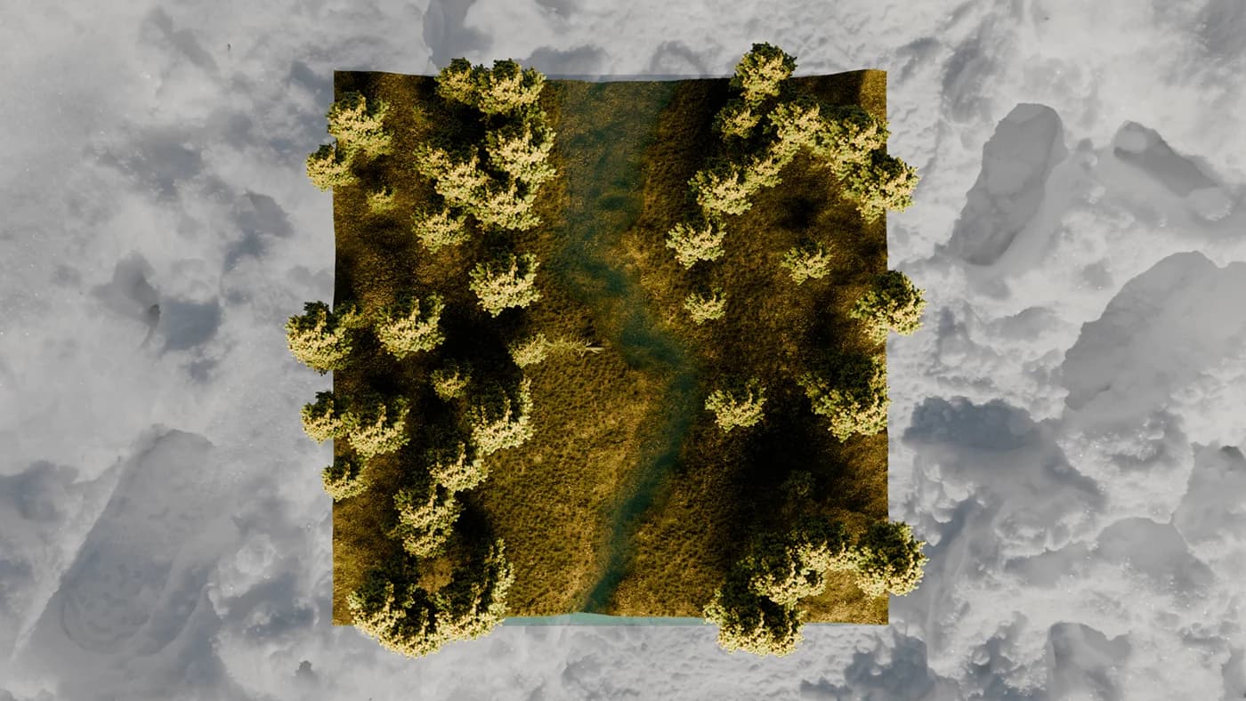 Overhead view of the terrain patch showing the trees and the river channel