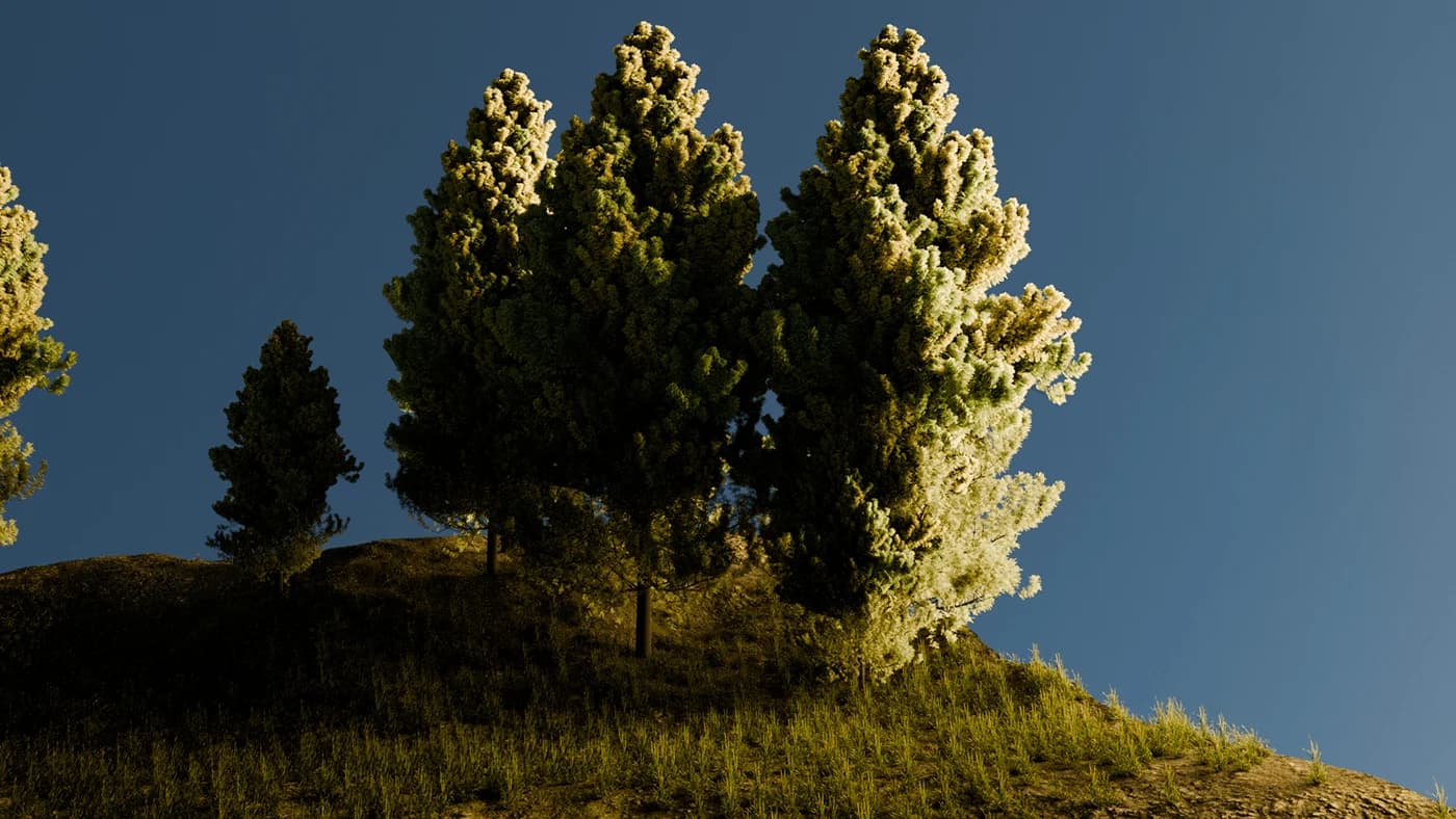 Pines on a ridge against a clear blue sky